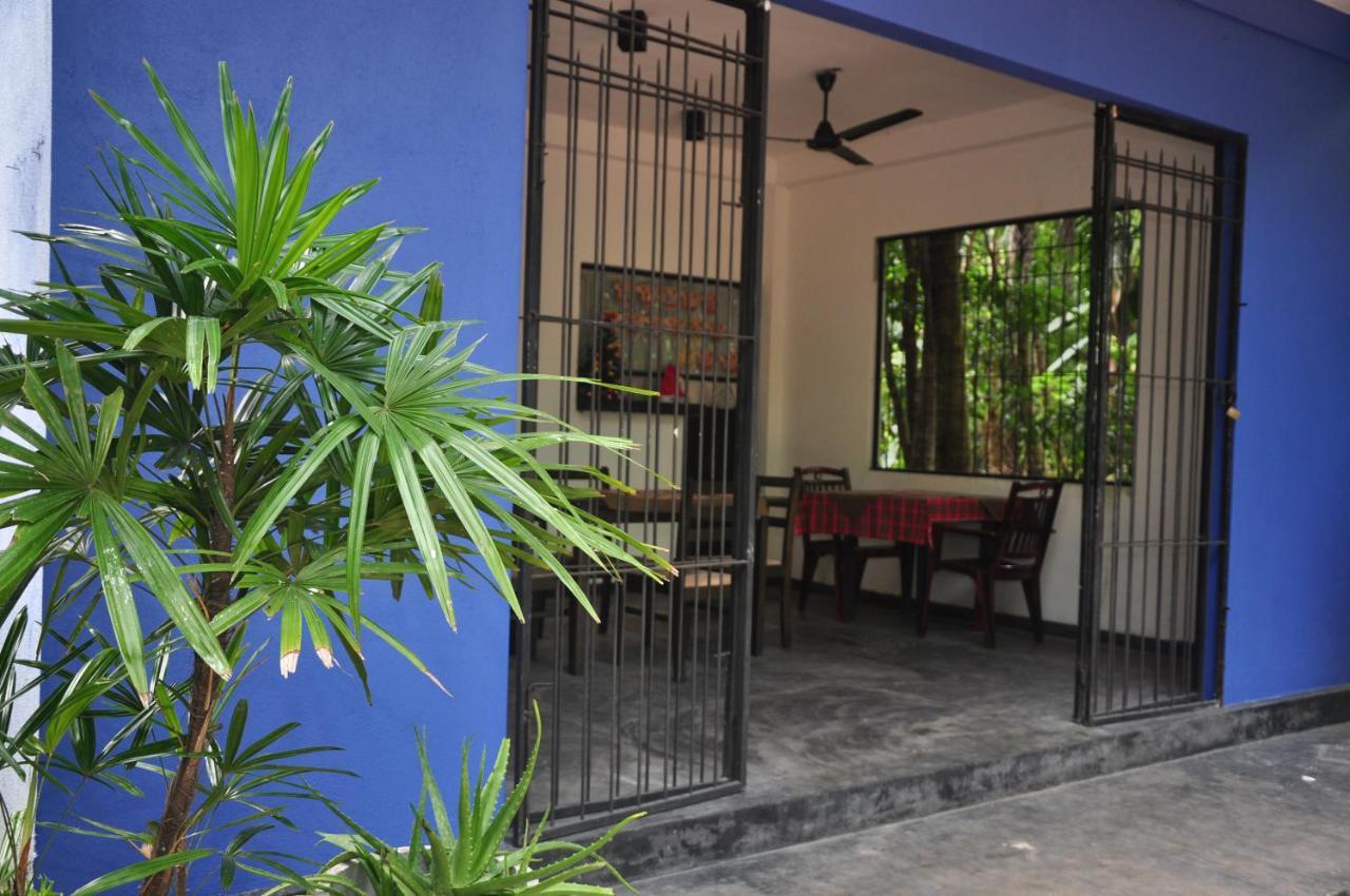 مبيت وإفطار بينتوتا Jungle Fence المظهر الخارجي الصورة