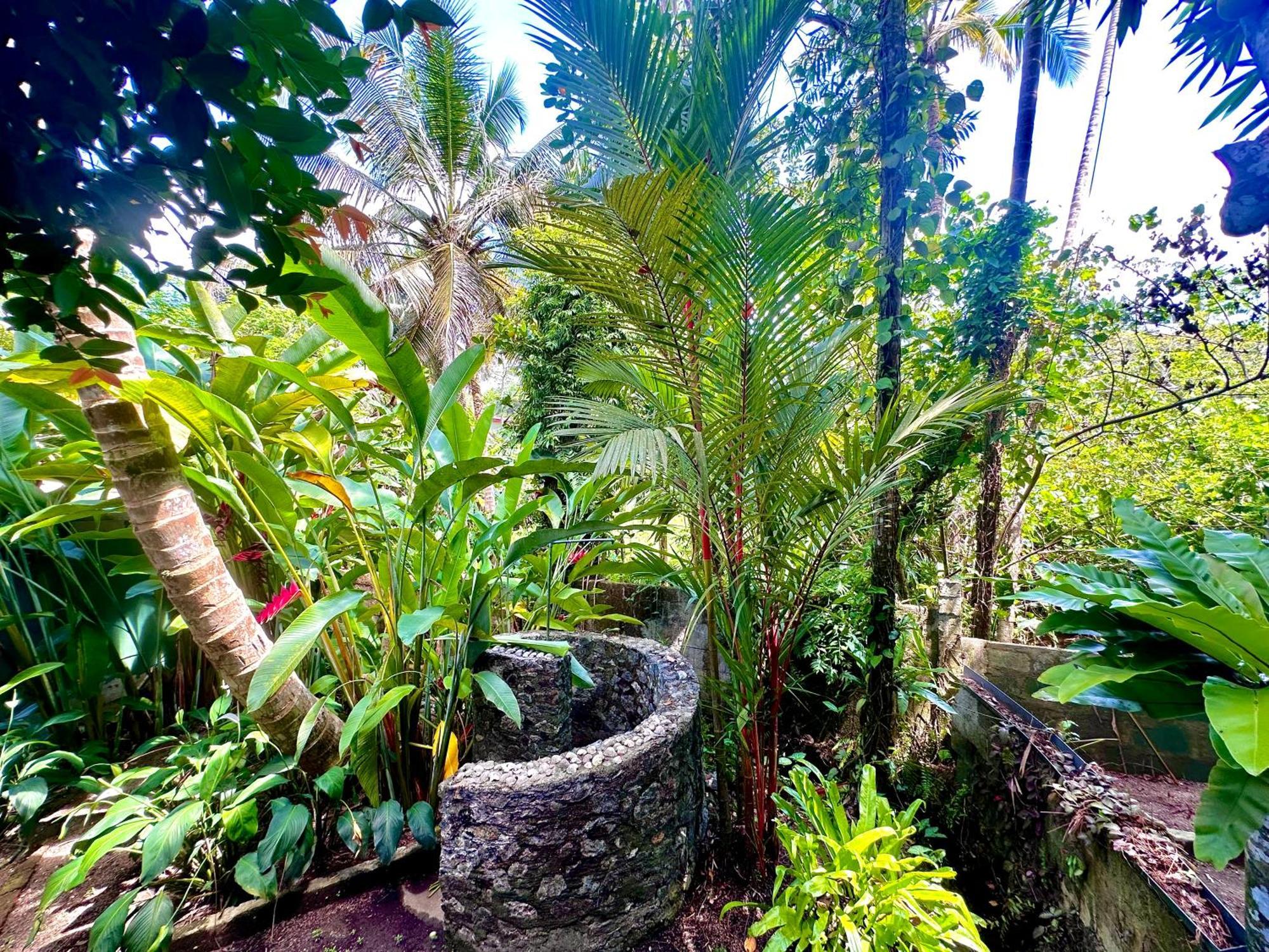 مبيت وإفطار بينتوتا Jungle Fence المظهر الخارجي الصورة